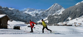Cross-country skiing Workshop