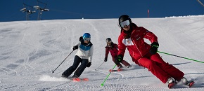 Erwachsene Ski